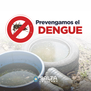 Gobierno de Salta - Dengue
