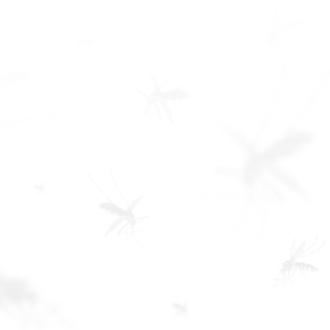 Municipalidad de Salta