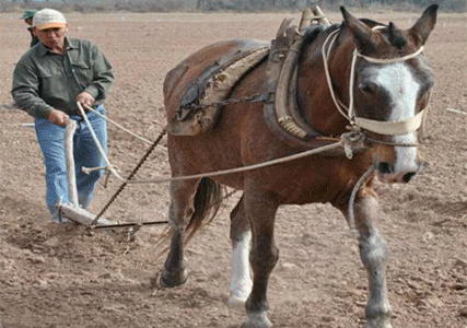 Cámara del Tabaco Salta