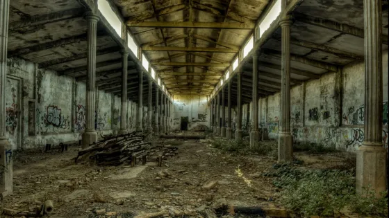 Mirá lo que descubrieron en una bodega abandonada de California