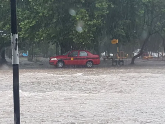 Lluvia Intensa: 50 evacuados, arboles caídos y calles anegadas