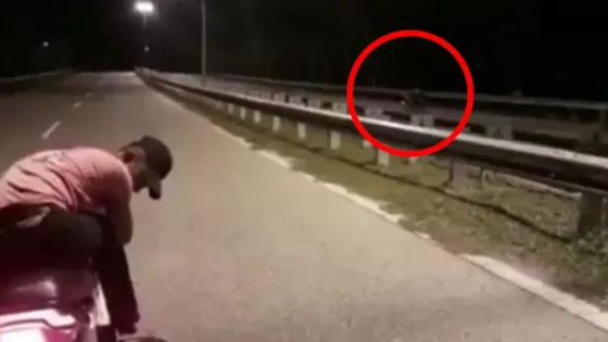 Escalofriante: Filmaron a un motociclista fantasma en plena ruta. Video