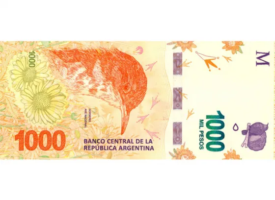 Lo que hay que saber para evitar fraudes con los billetes de $1000