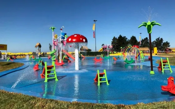 Así se burlan en las redes de la pileta de Larreta. VIDEO