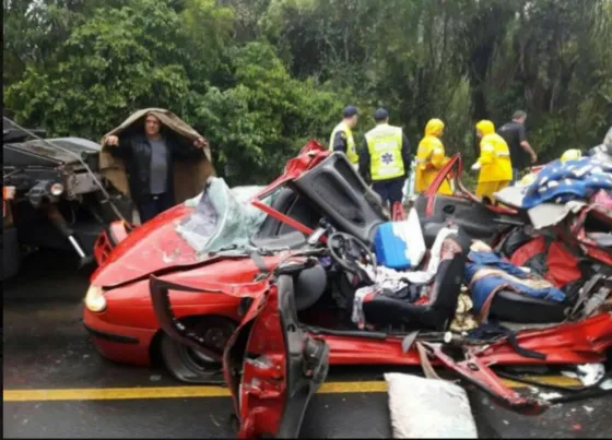 Brasil: Argentinos fallecieron aplastados por un container