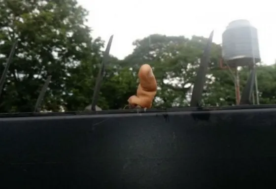 Robó una garrafa y perdió su dedo en una reja