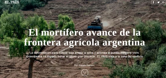 La ola de desmontes en Salta ya es noticia en el mundo