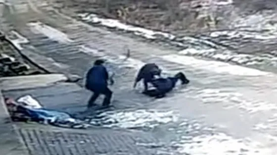  Brutal ataque de un jabalí a un grupo de personas. Video