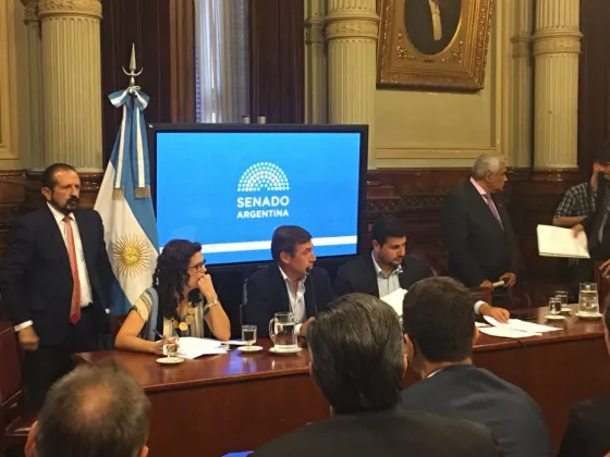 El megadecreto obtuvo dictamen favorable