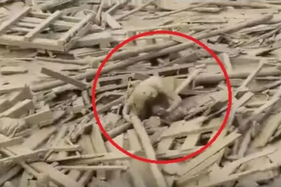 Mujer emerge de los escombros tras un alud en Perú (Video)