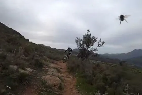 Ciclistas grabaron el ataque de un enjambre de abejas. Video