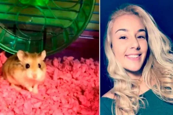 La denunciaron por tirar a su hámster por un inodoro para tomar un vuelo