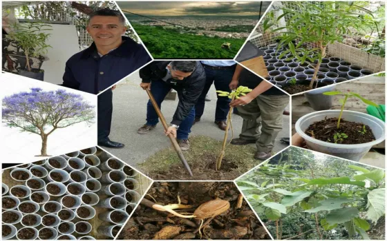 Buscan implantar bosques en Salta