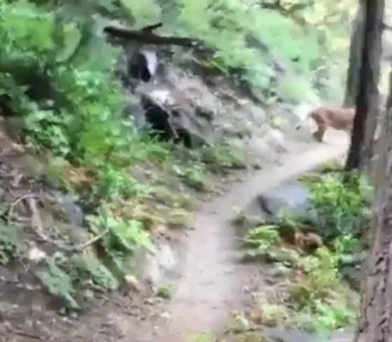 ¿Qué harías vos si salís a entrenar y te aparece esto? . Video