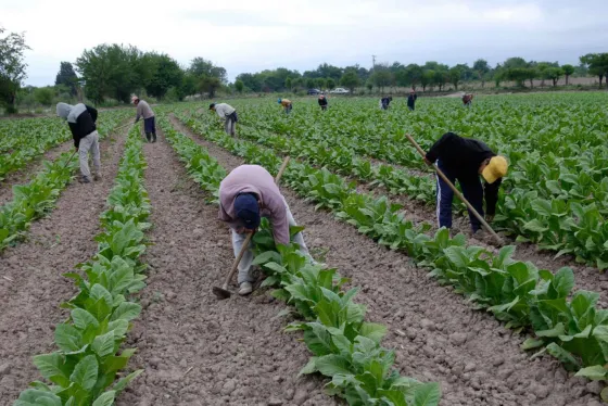 “La mayoría de las economías regionales está en situación deficitaria”