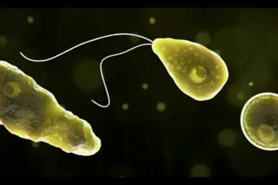 Murió un nene por la bacteria "come cerebros"