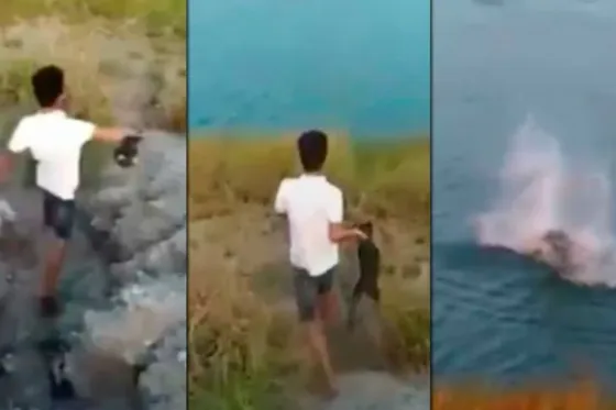 Tiró un cachorrito a un lago para que lo coman los cocodrilos