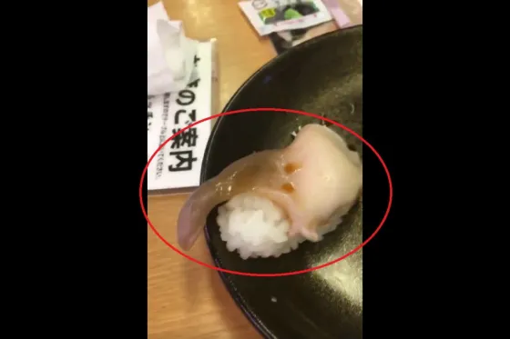 Pidió sushi y el pescado aún estaba vivo. VIDEO
