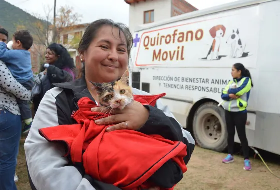 Atención: Entérate donde podes castrar a tu mascota de manera gratuita