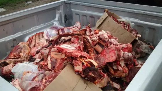 Imágen Ilustrativa.