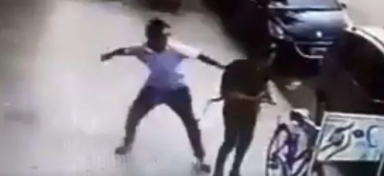 Un hombre golpeaba brutalmente a mujeres que ni conocía en plena calle (VIDEO)