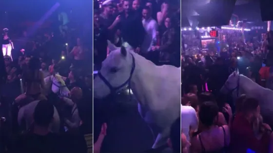 Insólito: Metieron un caballo a un boliche (VIDEO)