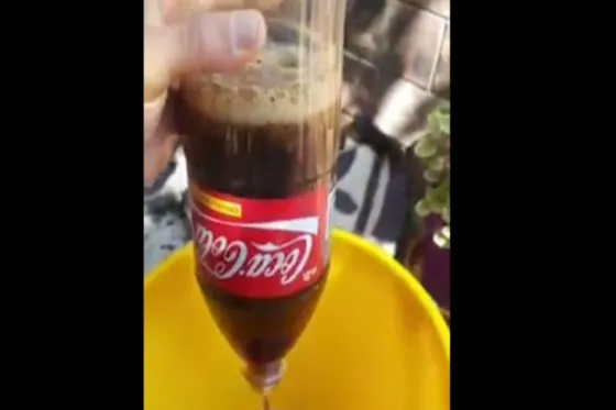 ASCO TOTAL. Compró una Coca y apareció flotando una rata