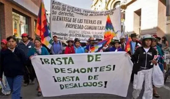 Greeanpeace: "Pueden desmontar  más de 1 millón de hectáreas, pero quieren 5"