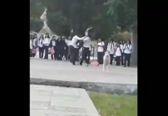 Vergüenza: Dos estudiantes protagonizaron una violenta pelea  (VIDEO)