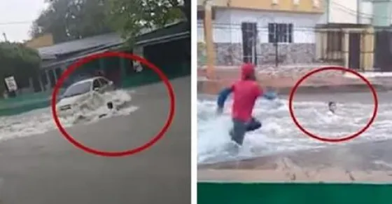 Dramático: Milagroso rescate de un niño que casi muere ahogado (VIDEO)