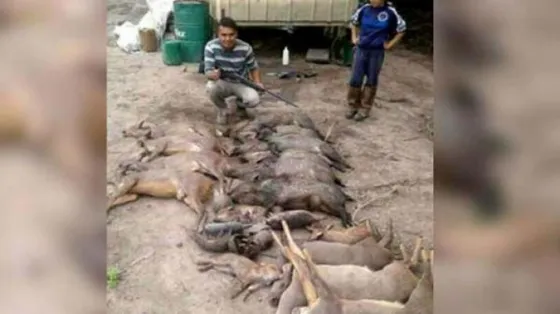 Una foto que causa impotencia