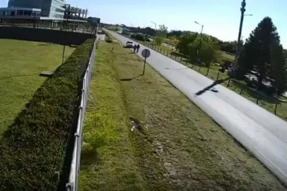 Atropelló a una pareja de ancianos y se dio a la fuga (VIDEO)