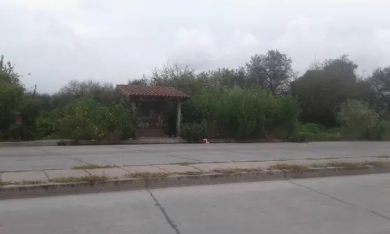 El abandono del medio ambiente pone en riesgo a los vecinos