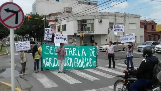 Despidos: Preocupa la situación de los trabajadores de Agroindustria Familiar