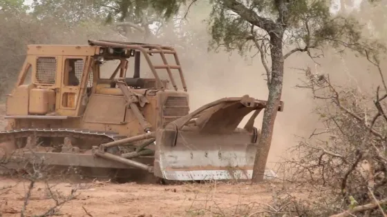 A troche y moche, avanzan los desmontes