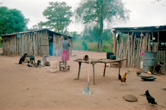 Hay más de 200 mil salteños bajo la línea de la pobreza y 40 mil indigentes