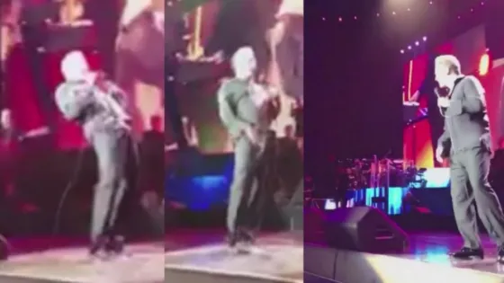 Terrible: Luis Miguel tuvo una erección en pleno show (VIDEO)