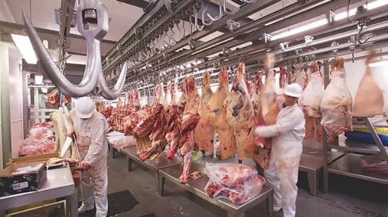 ¡Histórico! Argentina logró la apertura total del mercado chino para exportar carne