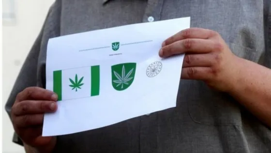 Un ciudad de Estonia buscaba un símbolo representativo y eligió la marihuana