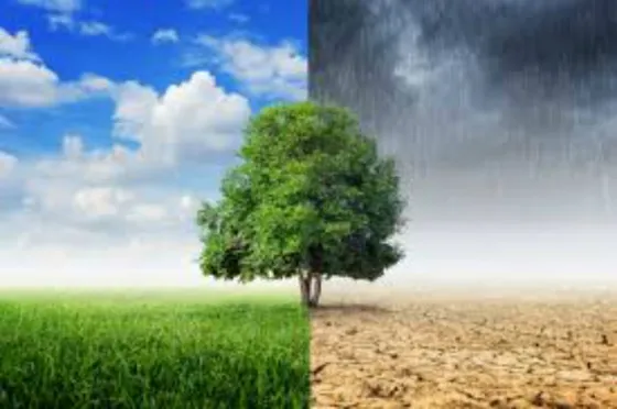 Enterate del pronóstico extendido para este fin de semana