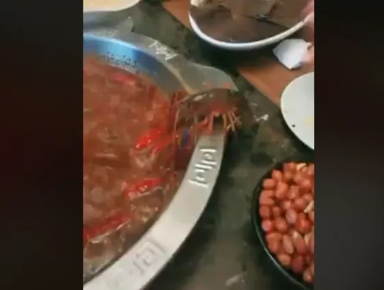 ¡Muy fuerte! Cangrejo salva su vida al escapar de una sopa. Video