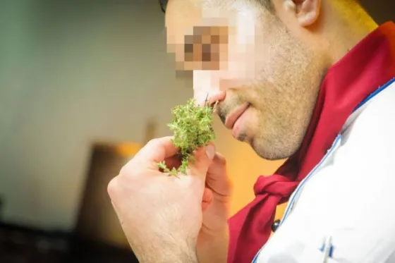 Le creció una planta de marihuana en la nariz