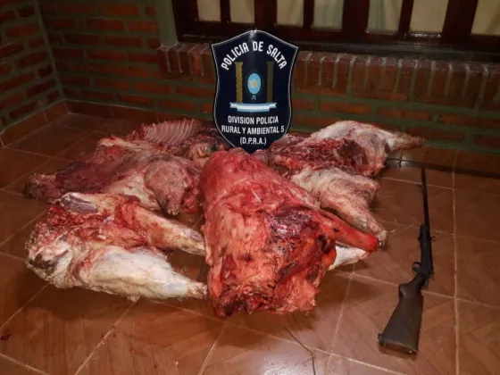 Secuestraron carne no apta para consumo humano                                      