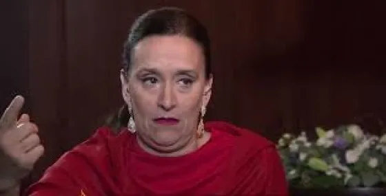 Aborto: Michetti busca demorar el tratamiento del proyecto