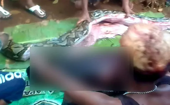 IMPRESIONANTE: Estaba desaparecida y fue hallada en el interior de una serpiente (VIDEO)