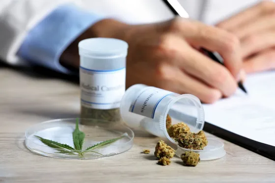 En el hospital del Milagro realizarán un ateneo sobre el uso medicinal del cannabis