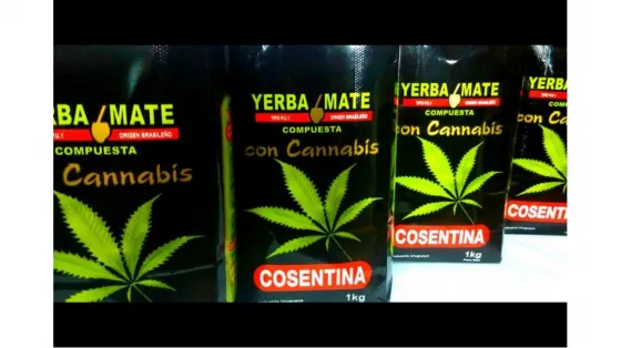 Uruguay comercializará yerba mate con marihuana