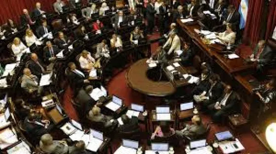 Despenalización del aborto: Conocé quiénes son los 12 senadores indecisos