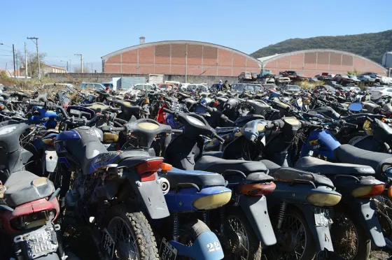 Atención: Rematan más de 800 motocicletas