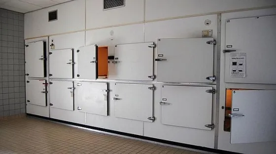 La dieron por muerta y despertó en la morgue